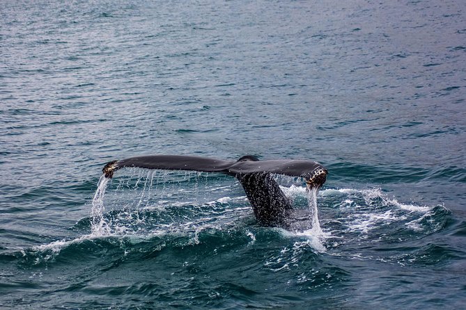 03 Days Sri Lanka Tour - Wild Life Hotspots - Wildlife Encounters