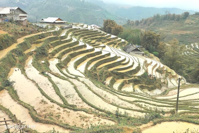 1 Day Trekking Tour Through Rice Terraced Fields From Sapa Town - Pricing Details