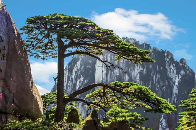 2-Day Mt Huangshan and Xidi Village Private Tour From Hangzhou by Bullet Train - Inclusions and Exclusions