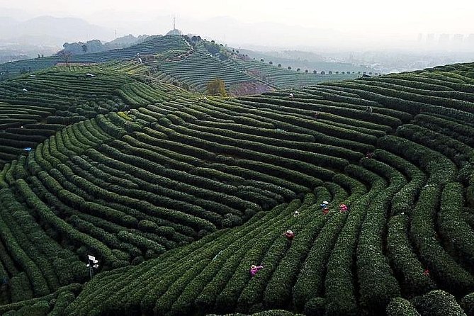 2-Day Private Hangzhou and Suzhou Tour Include Tongli Water Town From Shanghai - Meals and Fees