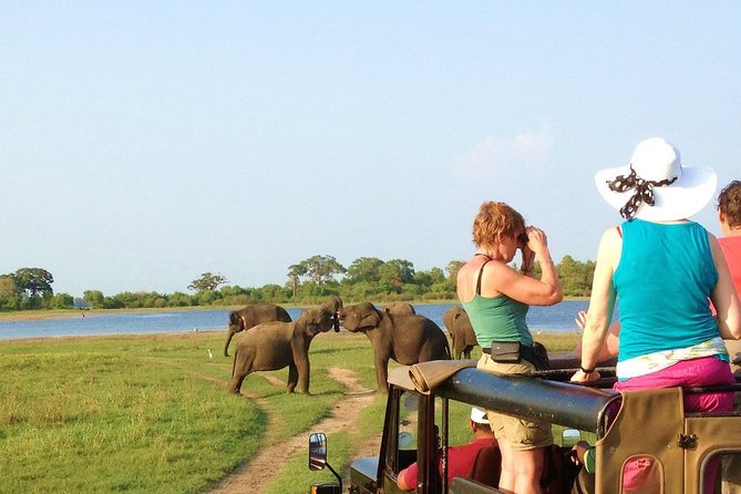 2 Day Tour to Galle & Udawalawe From Colombo - Pickup Information