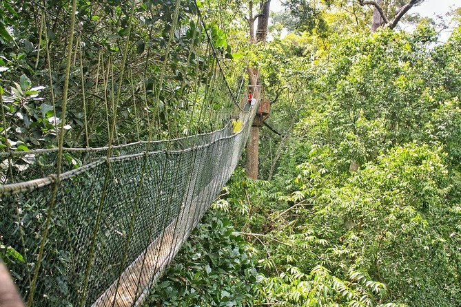 2D1N Taman Negara Explorer Tour From Kuala Lumpur - Inclusions