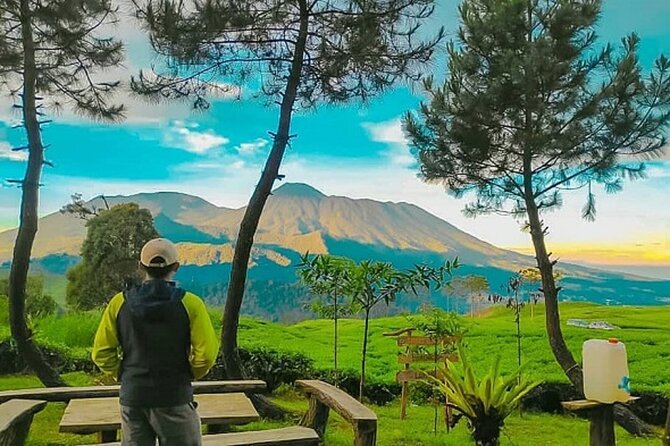 4 Day 3 Night Private Tour Dieng (Jakarta -Wonosobo) - Inclusions