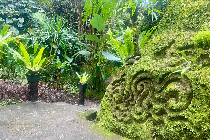 4 Easy Access Waterfalls Private Tour - Price and Booking