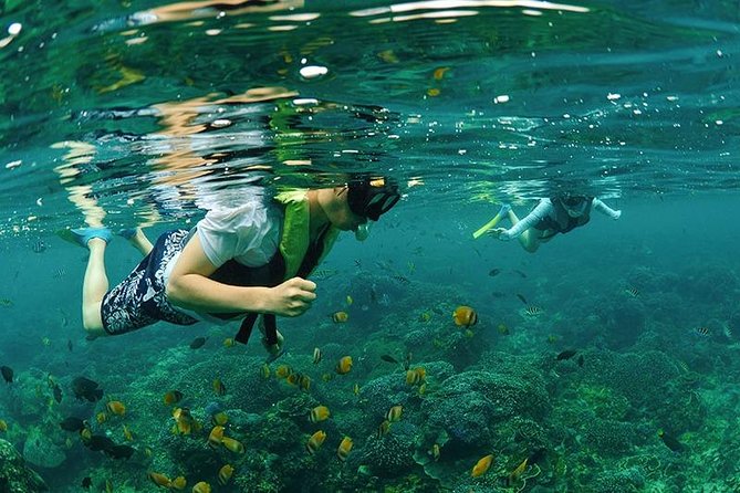 4 Point Snorkeling Nusa Penida From Bali - Included Services and Amenities