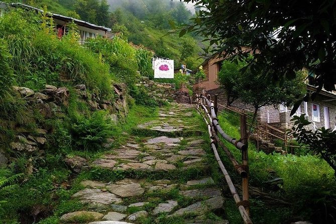 5-Day Chopta Trek With Suite Stay - Accommodation and Amenities