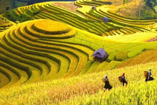5-Day Private Tour of Ha Giang and Hoang Su Phi From Hanoi - Pickup Details