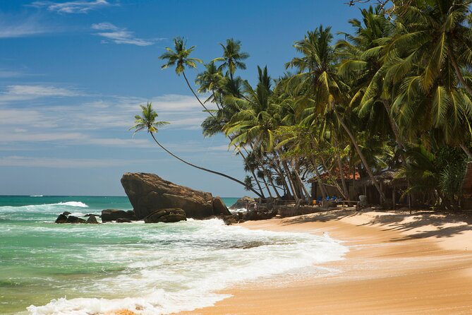 6-Day Guided Discovery Tour in Sri Lanka - Meeting and Pickup Details