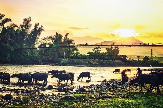 6-Day Private Tour Mu Cang Chai and Sapa From Hanoi - Inclusions and Exclusions