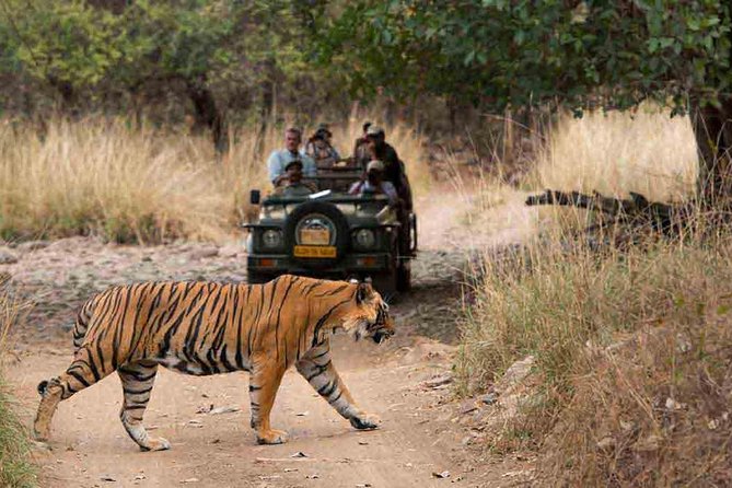 6 Days Golden Triangle Tour With Ranthambore From Delhi - Accommodation Information