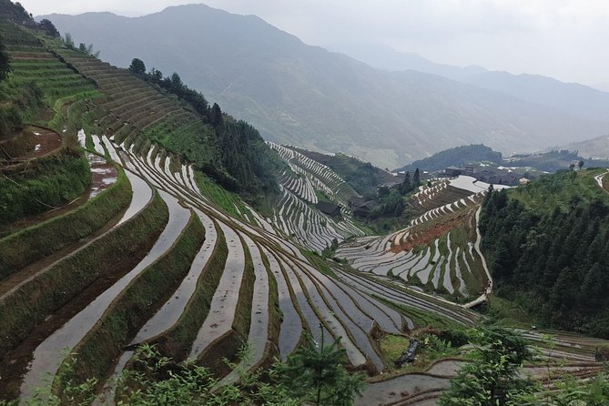7-Day Private Guided Sightseeing Tour From Guilin With Lunch - Itinerary Details