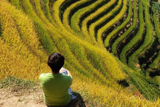 7-Day Private Tour From Beijing to Guilin, Longji Terraces,Sanjiang and Yangshuo - Price and Booking