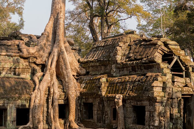 7-Day Private Tour of Cambodia and Laos - Meals and Services Provided