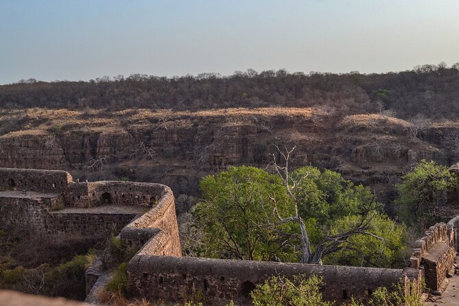 8-Day Private Transport for Golden Triangle Tour With Ranthambore - Day 3: Taj Mahal and Jaipur