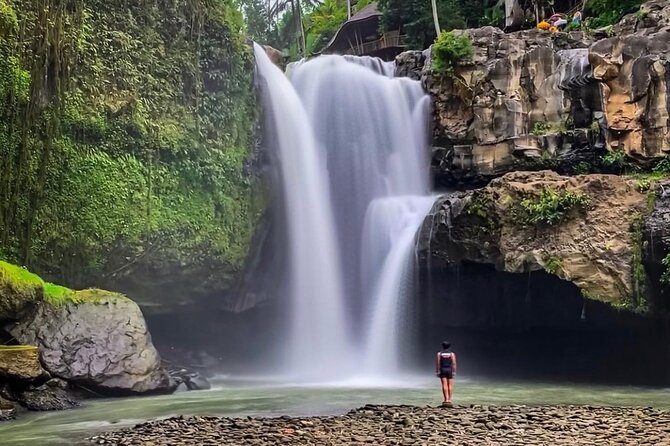All Inclusive - Best Of Ubud Attractions - Tegalalang Rice Terraces