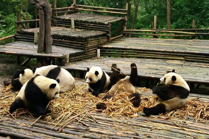 All Inclusive Boutique Tour of Chengdu Highlights - Booking Information