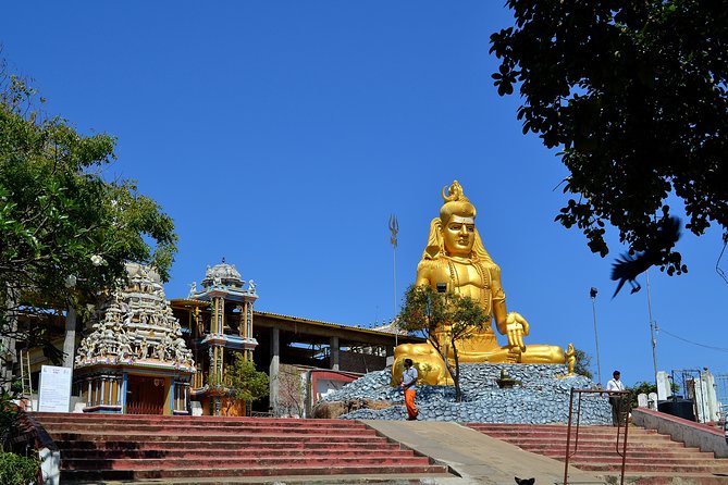 All Inclusive Day Tour to Trincomalee and Nilaveli From Sigiriya - Inclusions and Amenities