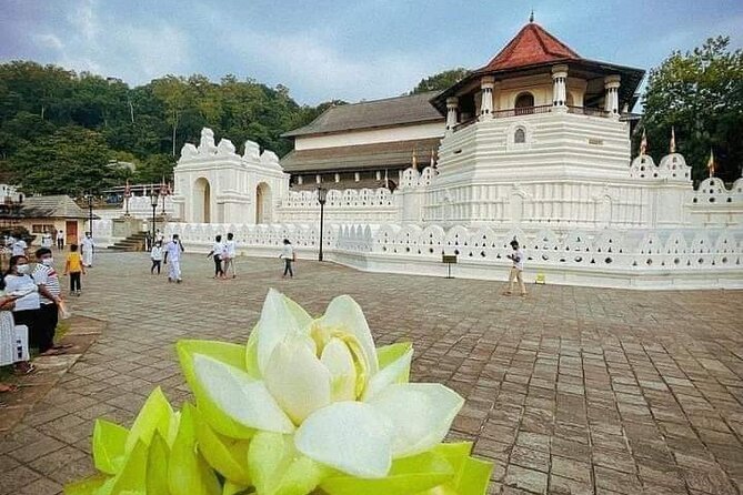 All-Inclusive Private Tour in Sri Lankan Island 9 Day HB Hotels - Accommodations