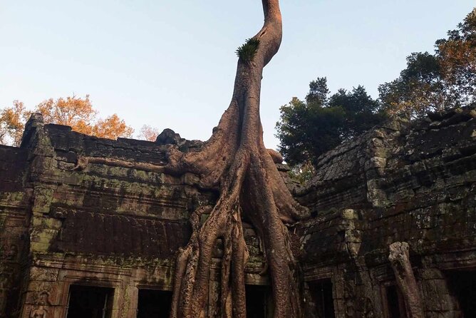 Angkor Wat, Ta Prohm, Angkor Thom & Phnom Bakheng Sunset Tours - Pickup and Drop-off Details
