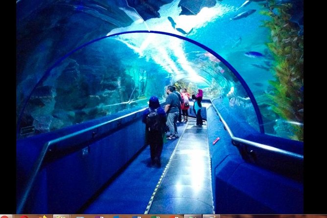 Aquaria KLCC Admission Ticket - Special Hours and Accessibility