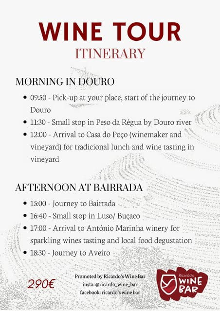 Aveiro: Private Wine Tour in Douro and Bairrada - Tour Overview