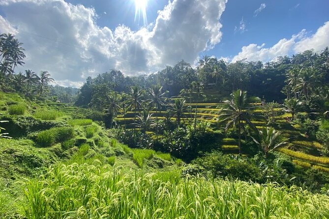 Barong and Volcano Tour - Inclusions