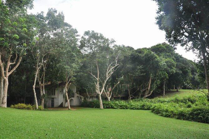 Bentota City Tour From Dikwella - Madu River Boat Safari