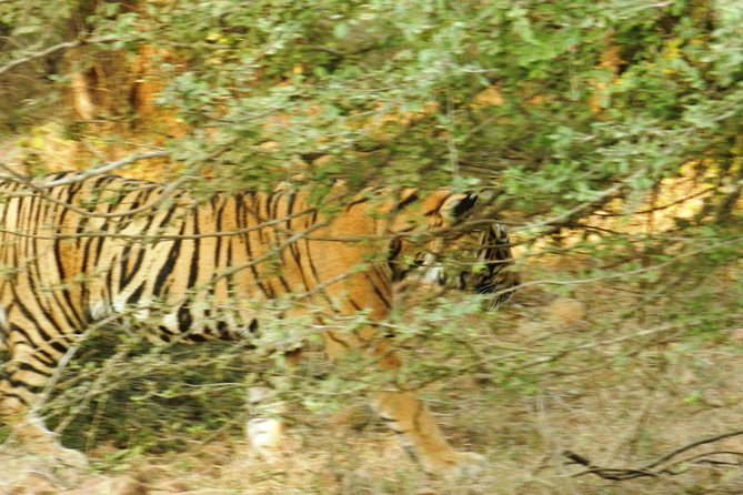 Best of Rajasthan With Ranthambore - Destinations Covered