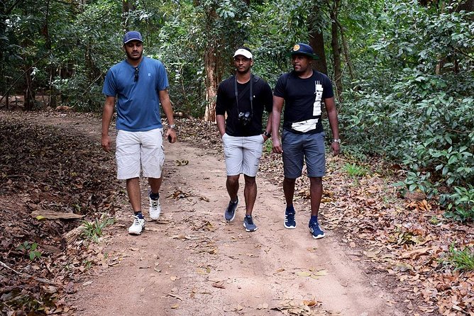 Bird Watching & Trekking in Udawattekele Sanctuary From Kandy - Frequently Asked Questions