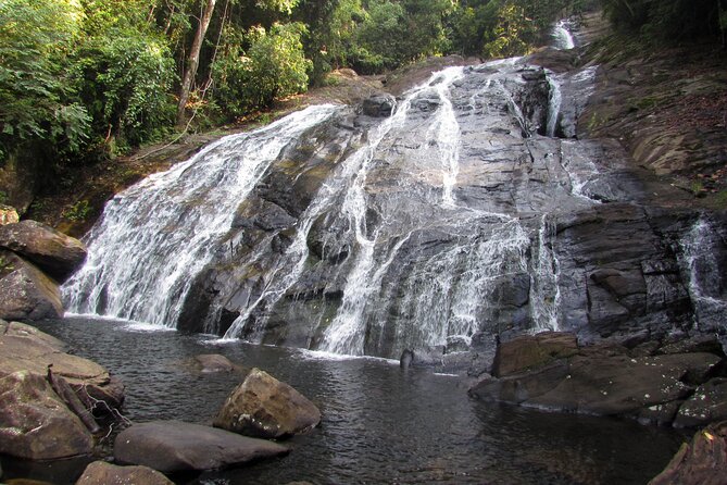 Birdwatching Walk in Sinharaja Rainforest From Mount Lavinia - Departure Time and Transport Arrangements
