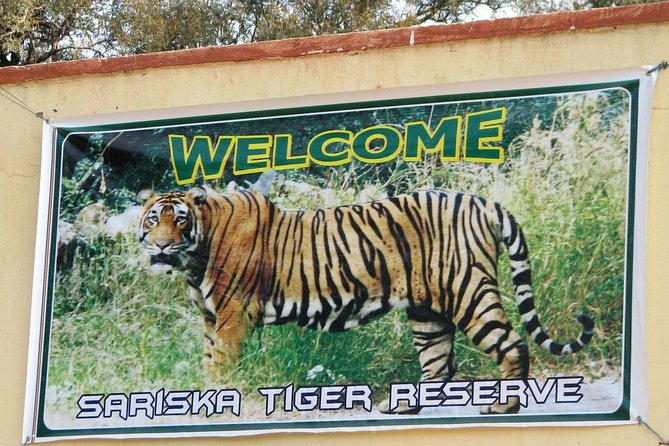 Book Sariska Tiger Reserve Tickets (Skip The Line) - Exclusive Government Guide