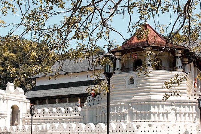 Buddhist Pilgrimage Tour (9 Days) - Accommodation Details