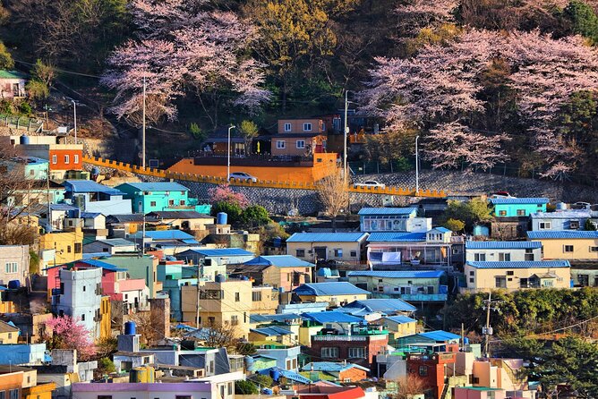 Busan Cultural Highlights and Scenic Full-Day Tour - Scenic Spots and Landmarks