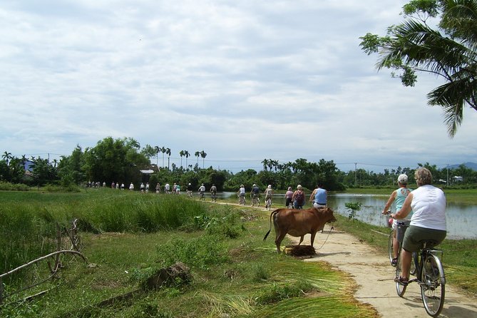 Cam Kim Island Cycling And River Cruise - Itinerary