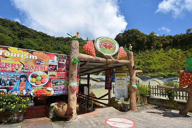 Cameron Highland Private Full Day Tour From Kuala Lumpur - Inclusions