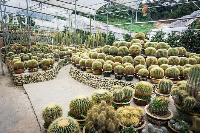 Cameron Highlands Full Day Nature Tour - Inclusions and Exclusions