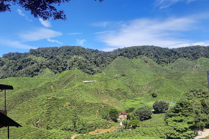 Cameron Highlands Nature & Batu Caves Culture Tour - Exclusions