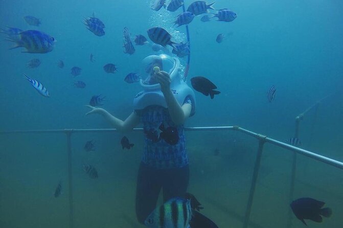 Cham Island Sea Walk and Snorkeling Experience by Speedboat - Inclusions Provided