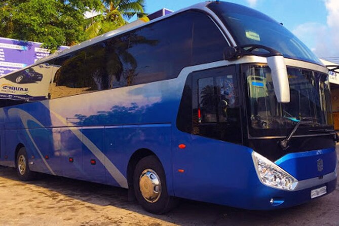 Chauffeur Driven Bus (Large) Rental - Passenger Restrictions and Accessibility