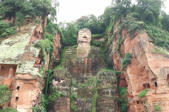 Chengdu Customized Experience: Giant Pandas and Buddha Statue In One Day - Inclusions