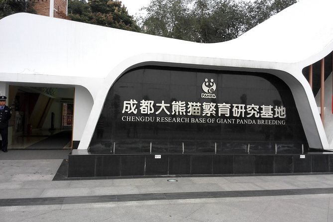 Chengdu Panda Base Day Trip From Beijing by Air Plus Martial Marquis Temple - What to Expect