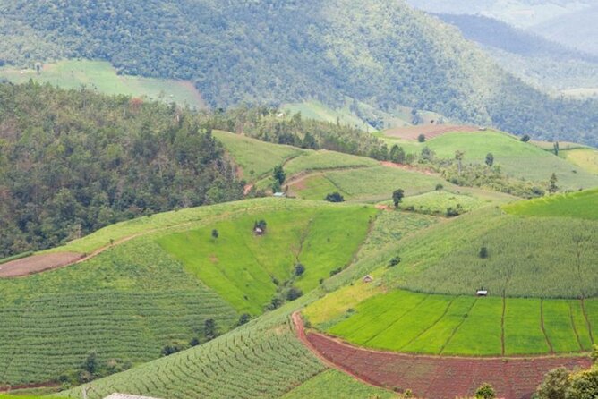 Chiang Mai: Doi Inthanon Full Day Tour - What to Expect