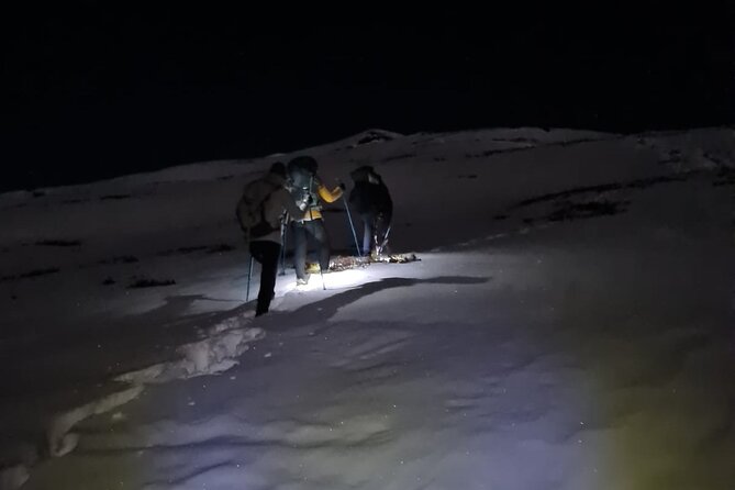 Chopta-Tungnath Trek, A Sunrise at 3700m in the Himalayas - Inclusions and Pricing