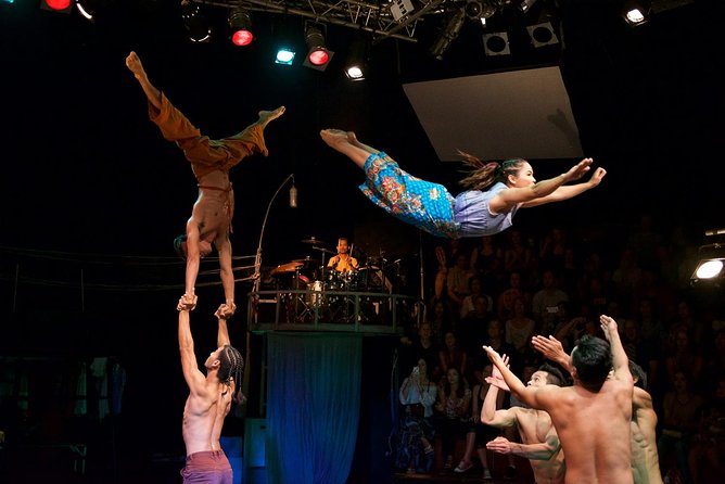 Circus Workshop and Show - Overview of Circus Workshop