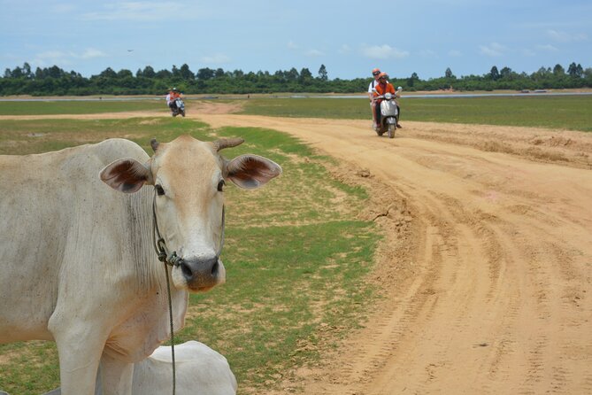 Countryside Tour by Scooter - Pickup Details and Start Time
