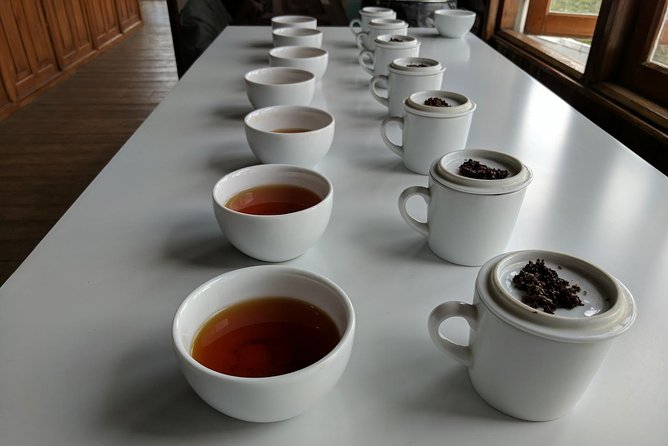 Cycling in Hantana Tea Plantation - Explore British Footprints - Meeting Point and Pickup