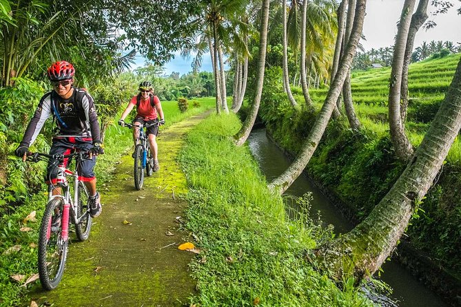 Cycling To The Rice Fields Of Ubud Village And Tegenungan - Additional Tour Information