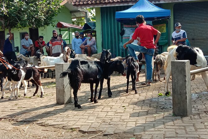 Cycling Village Tour Kulonprogo - Booking Information