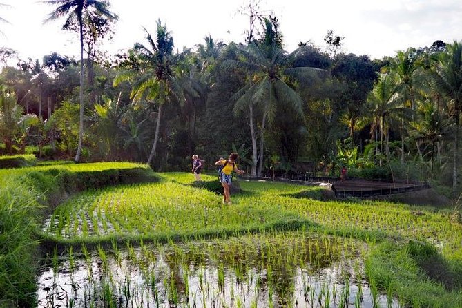 Daily Life Tour: Live Like A Local Farmer - Pickup Information Details