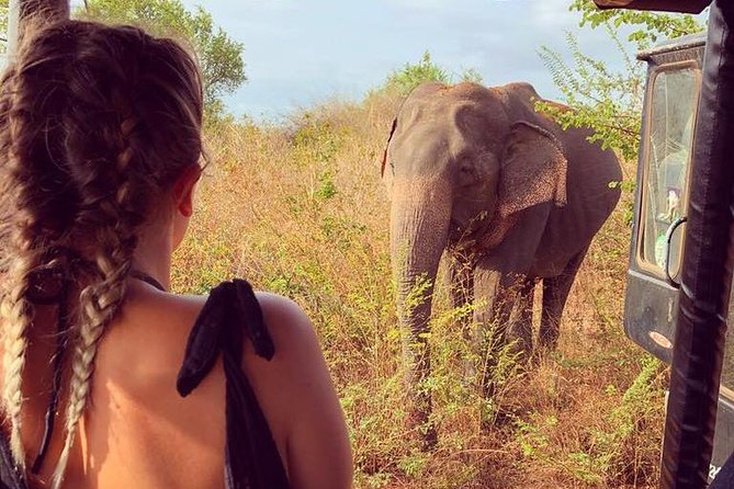 Day Excursions to Udawalawe From Wadduwa - Meeting and Pickup Details